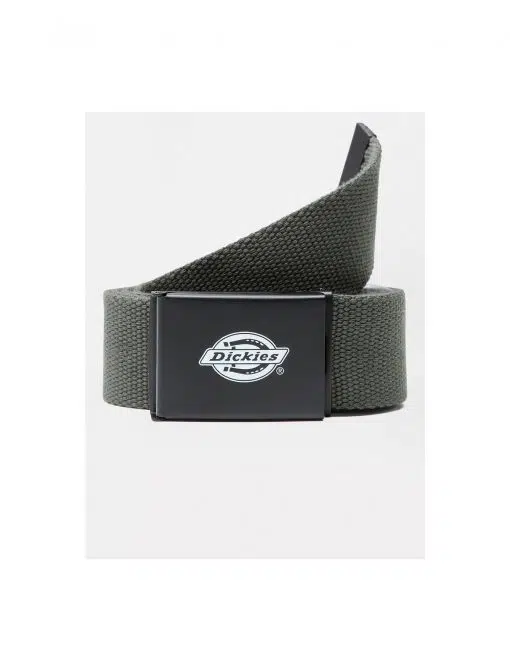 Dickies Orcutt Logo Buckle Belt Olive