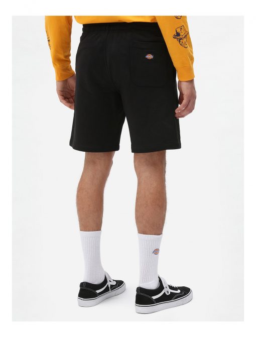 Dickies Champlin Shorts Black