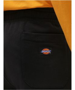 Dickies Champlin Shorts Black