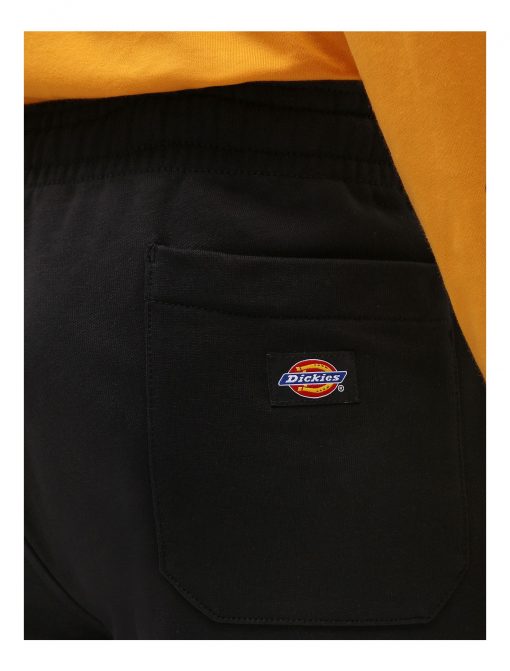 Dickies Champlin Shorts Black