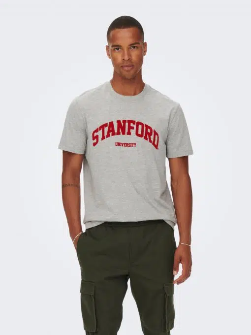 Only & Sons Jake Stanford T-shirt Grey