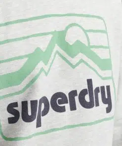 Superdry Vintage 90s Terrain Hoodie Glacier Grey Marl